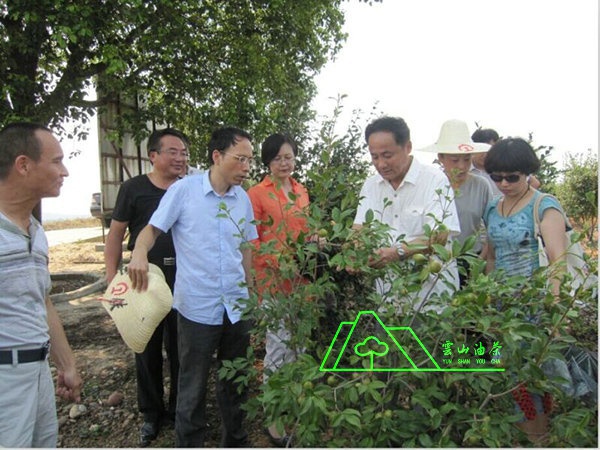 江西省油茶辦主任、工程師孫勇、省科技廳農(nóng)村工作處副處長、副調(diào)研員尹伊等基地指導(dǎo)工作